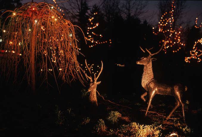 1988-Festival of Lights- Christmas lights