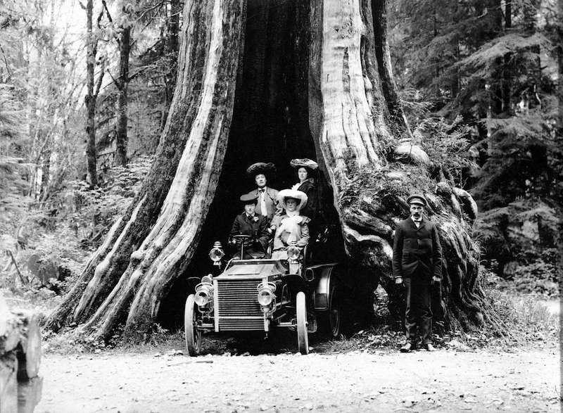 1900?-Car in hollow tree at Stanley Park