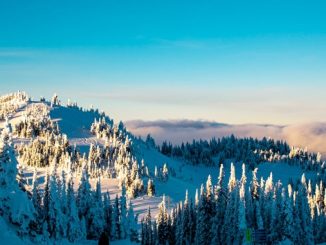 BC's Ski Resorts: Mountain Stats and Locations