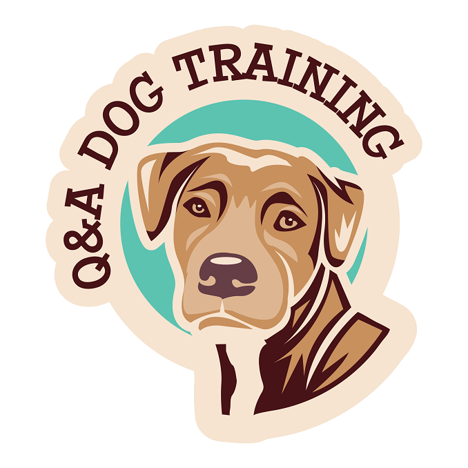 Q&A DogTraining