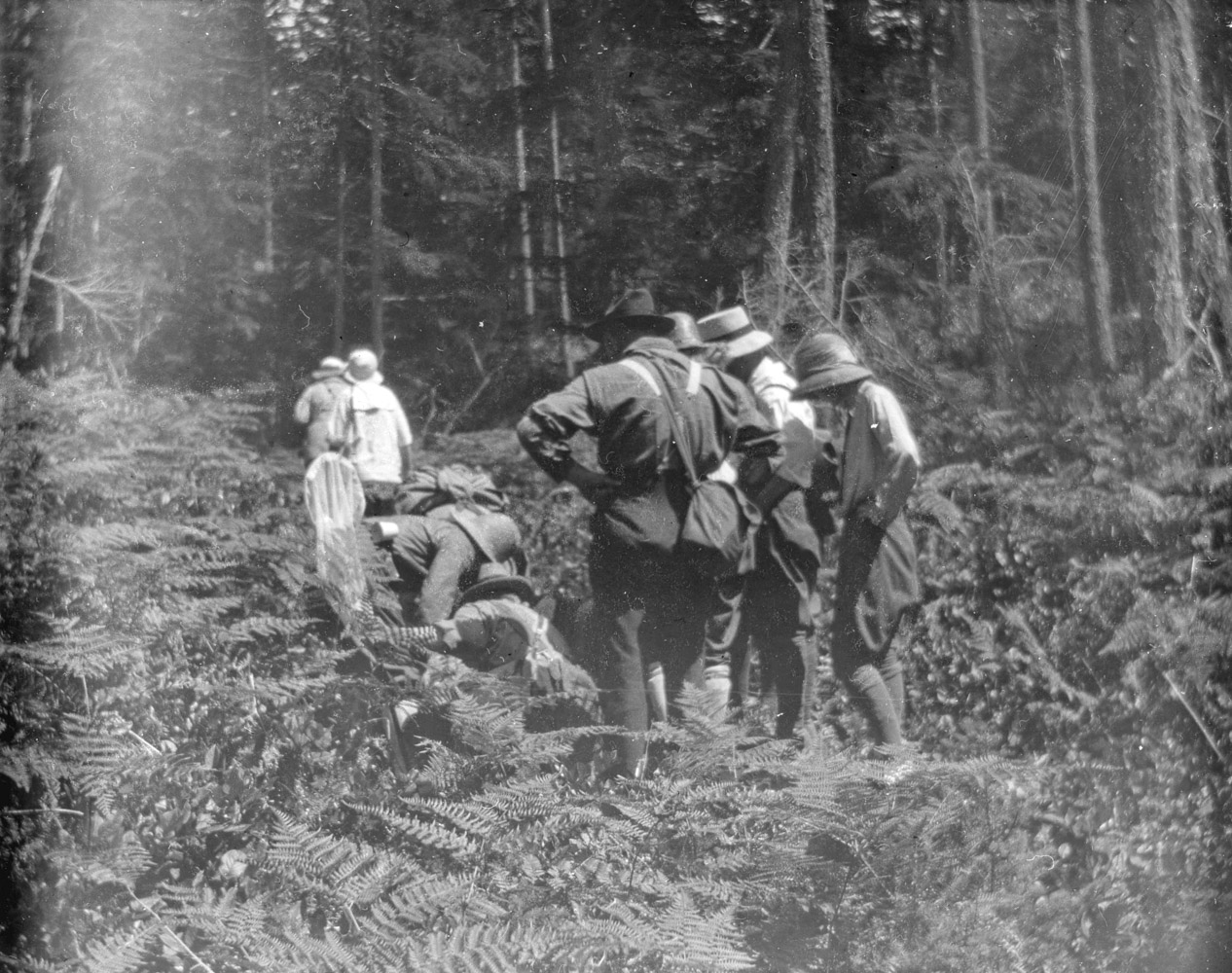 1913 - 1925 - Unidentified group in the woods