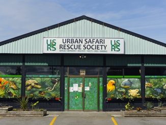 Urban Safari Rescue Society