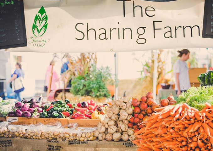 Sharing Farm Society