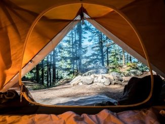 featured image camping tent open showing the nature outside