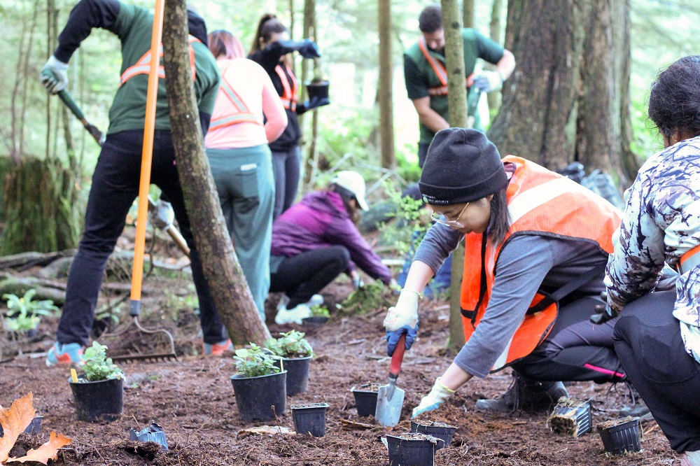 Stanley Park Ecology