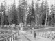 Old Photographs of the Stanley Park Zoo (1893-1986)