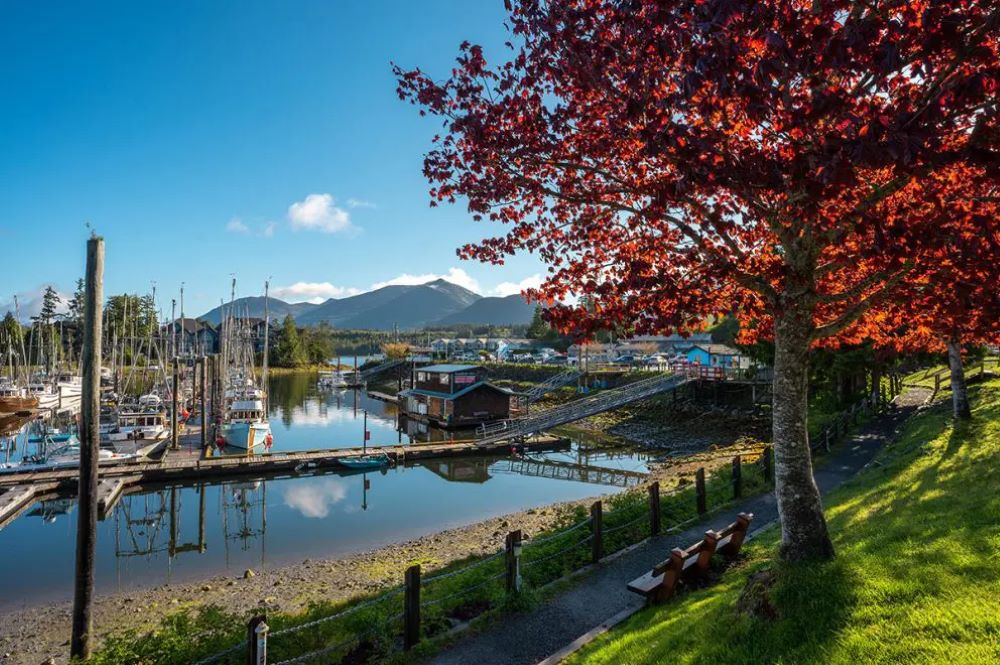 Essential Ucluelet Travel Guide