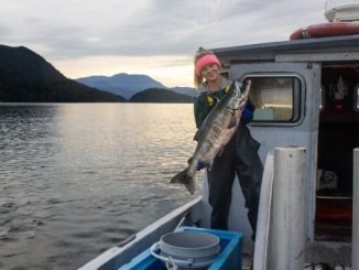 BC Salmon Marketing Council