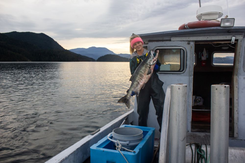 BC Salmon Marketing Council