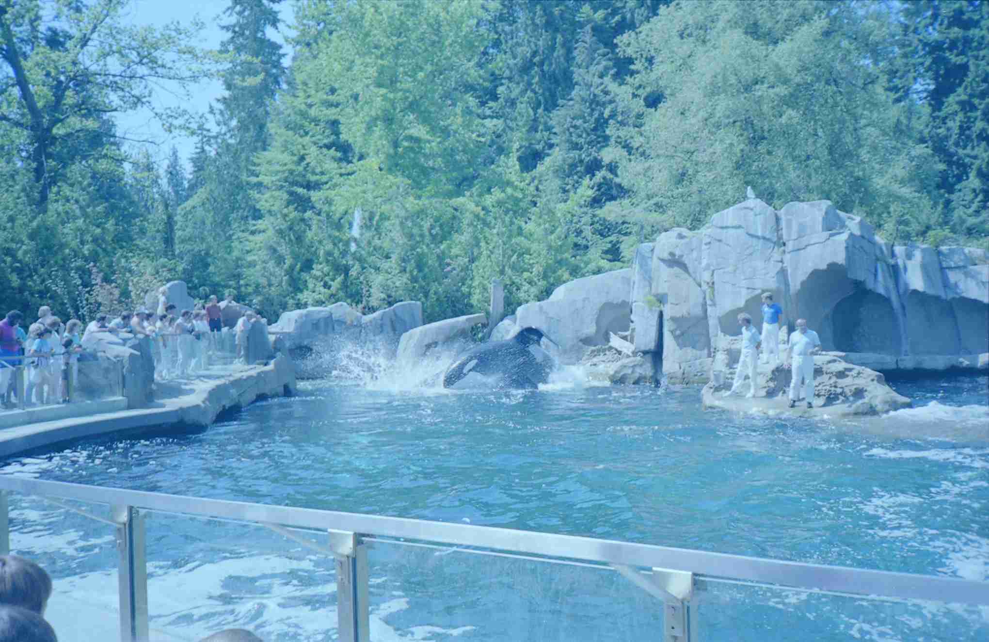 Vancouver Aquarium