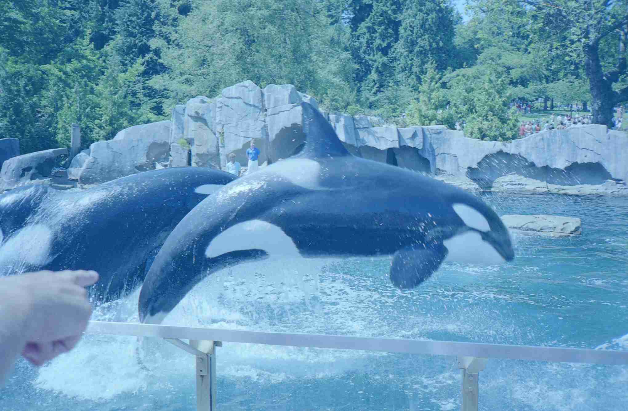 Vancouver Aquarium