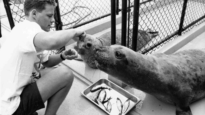 Old Photographs of the Vancouver Aquarium (1960-1993)
