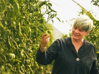 Savouring Micro-Seasons at Burdock & Co