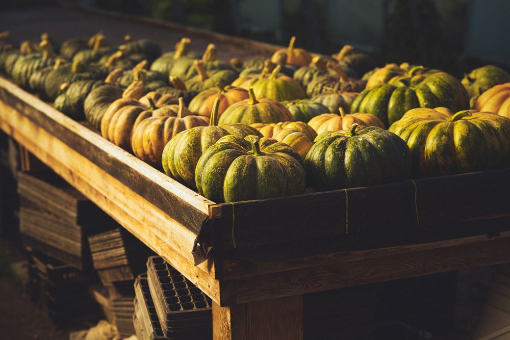 Savouring Micro-Seasons at Burdock & Co