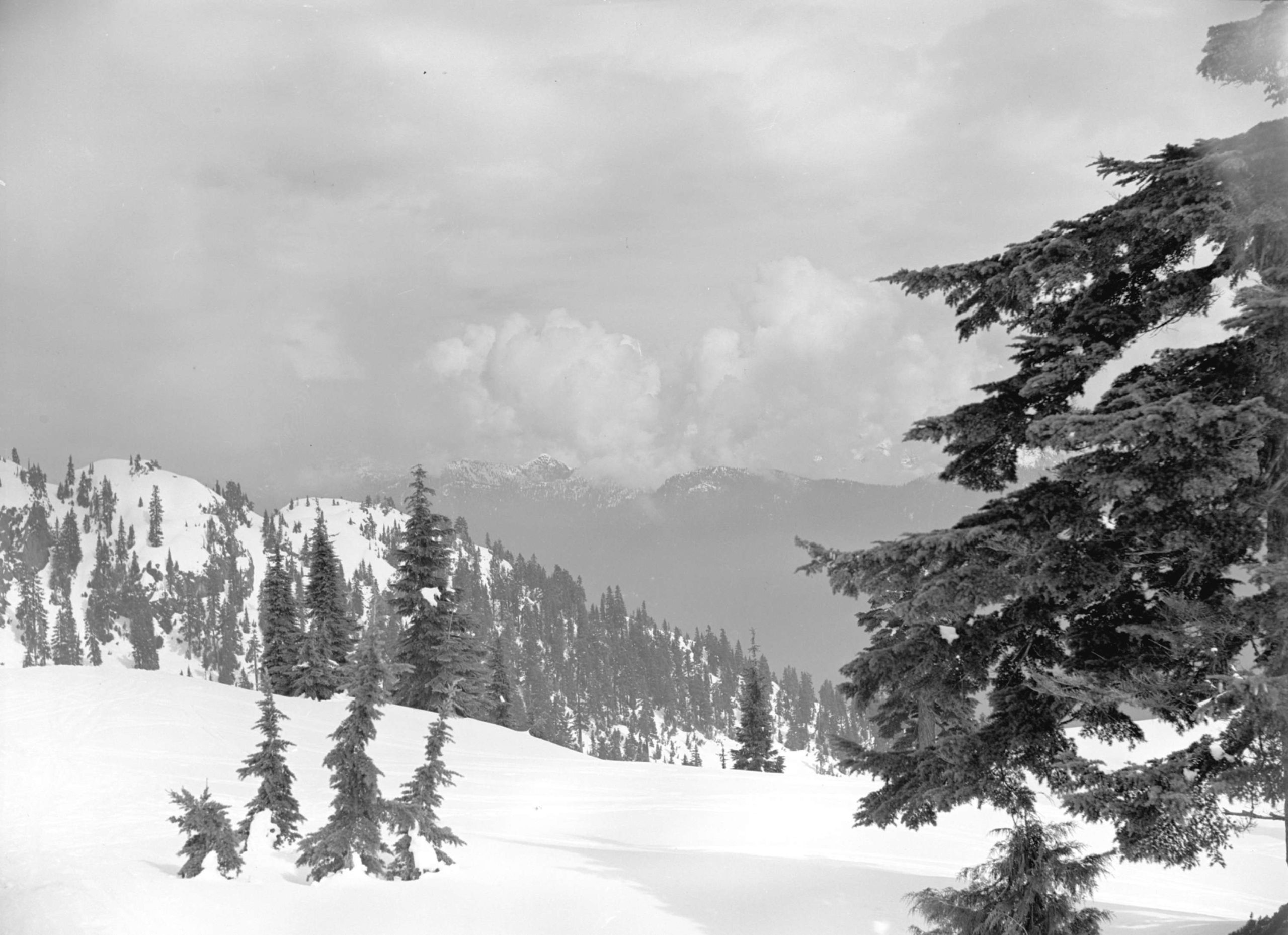 Mt. Seymour