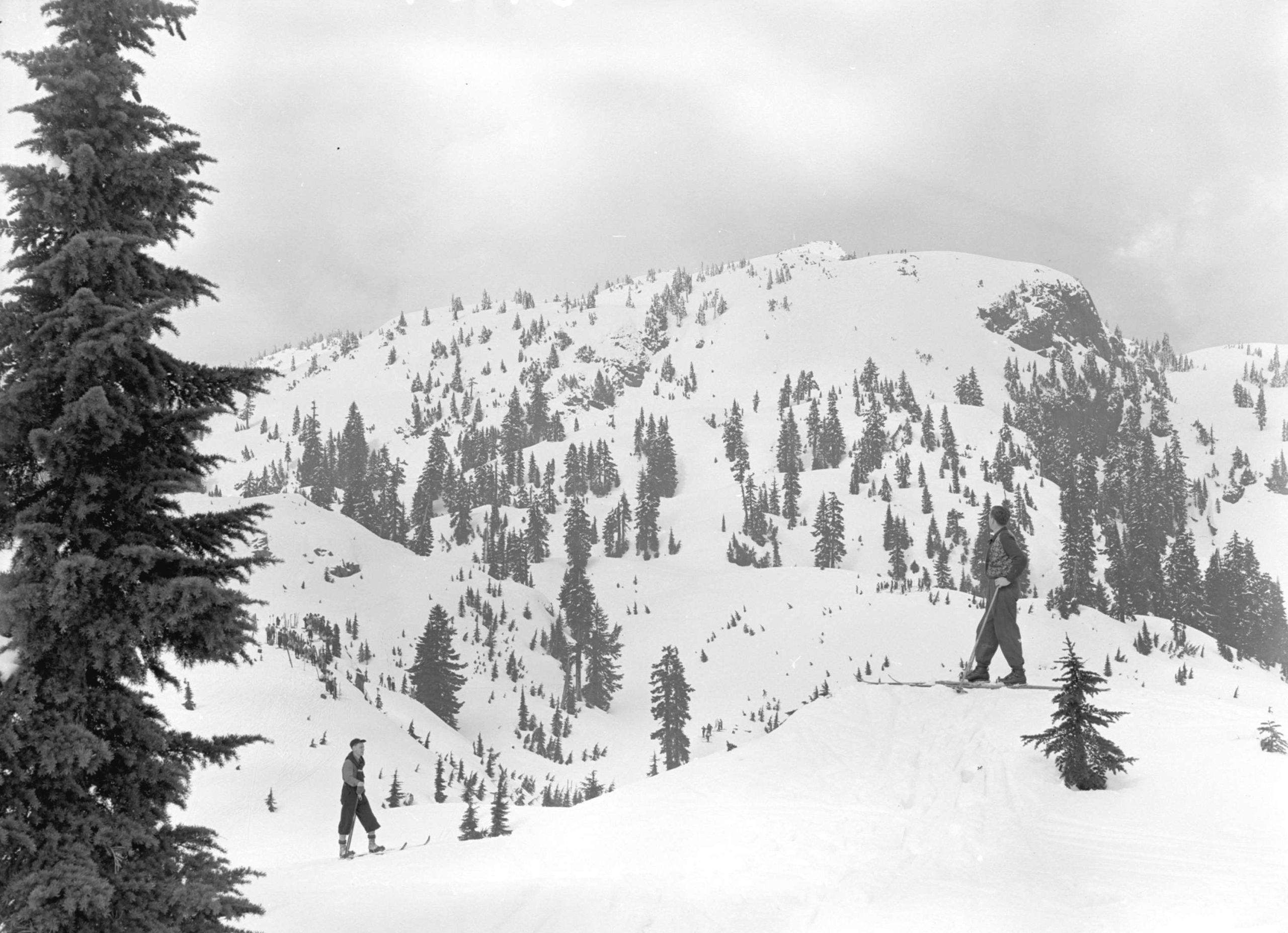 Mt. Seymour