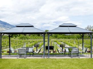 Kismet, Karma, and Award-Winning Wine