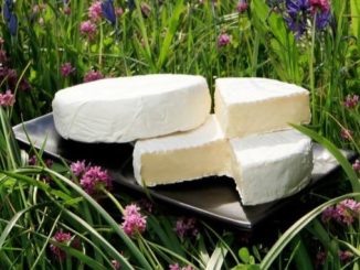 The Natural Pastures Cheese Company