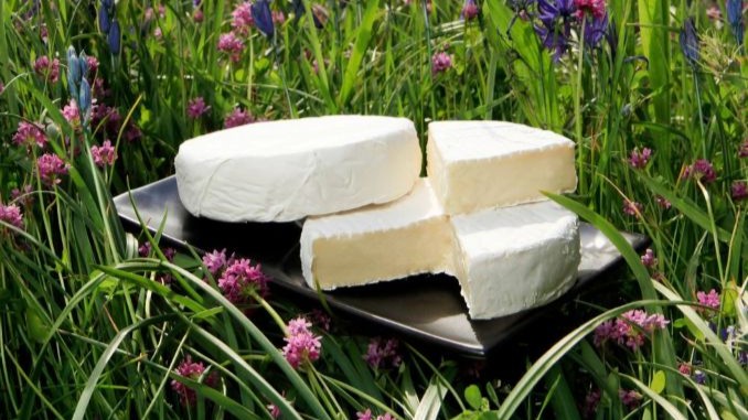 The Natural Pastures Cheese Company
