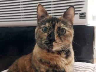 Zoe