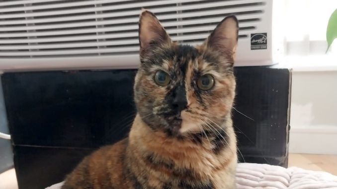 Zoe