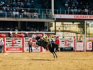 The Greatest Outdoor Show on Earth: Inside the Calgary Stampede