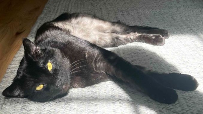 Sid