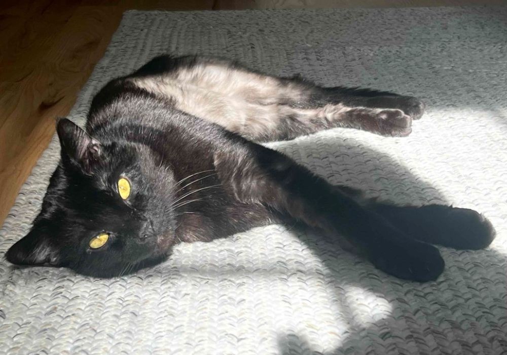 Sid