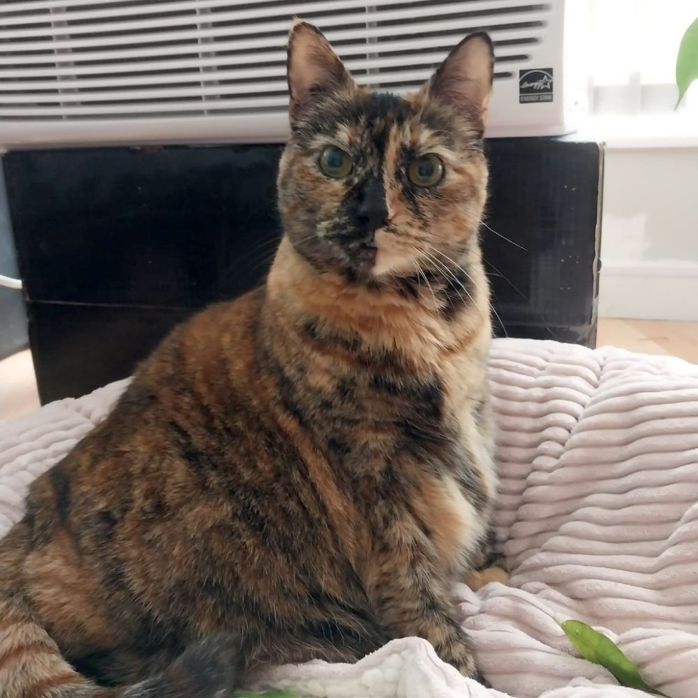 Zoe