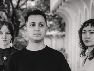 The Hausplants