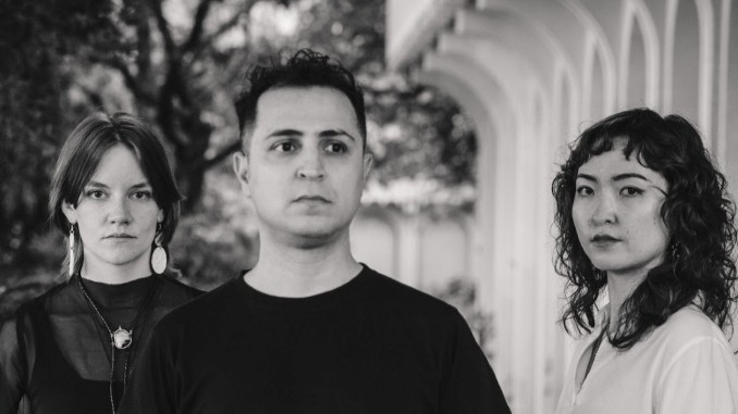 The Hausplants